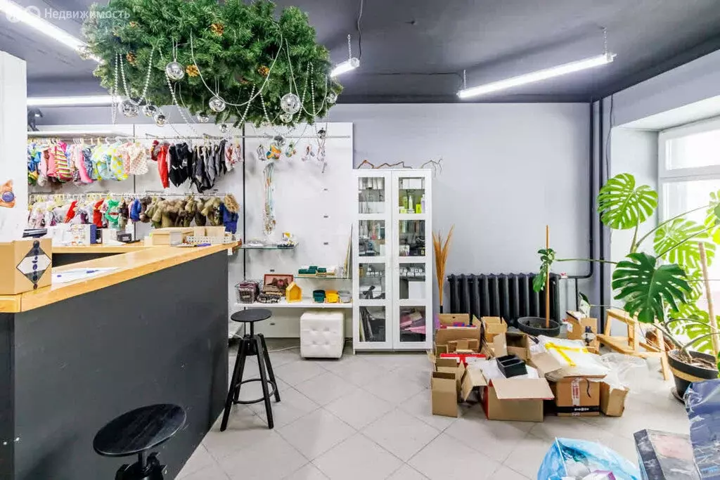 Помещение свободного назначения (50.6 м) - Фото 1