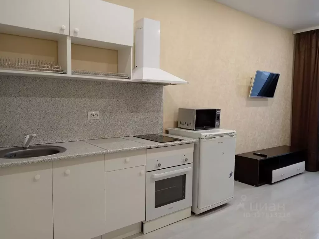 Студия Новосибирская область, Новосибирск ул. Забалуева, 92 (30.0 м) - Фото 1