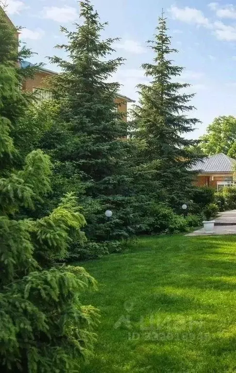 Дом в Московская область, Мытищи городской округ, д. Погорелки ул. ... - Фото 2
