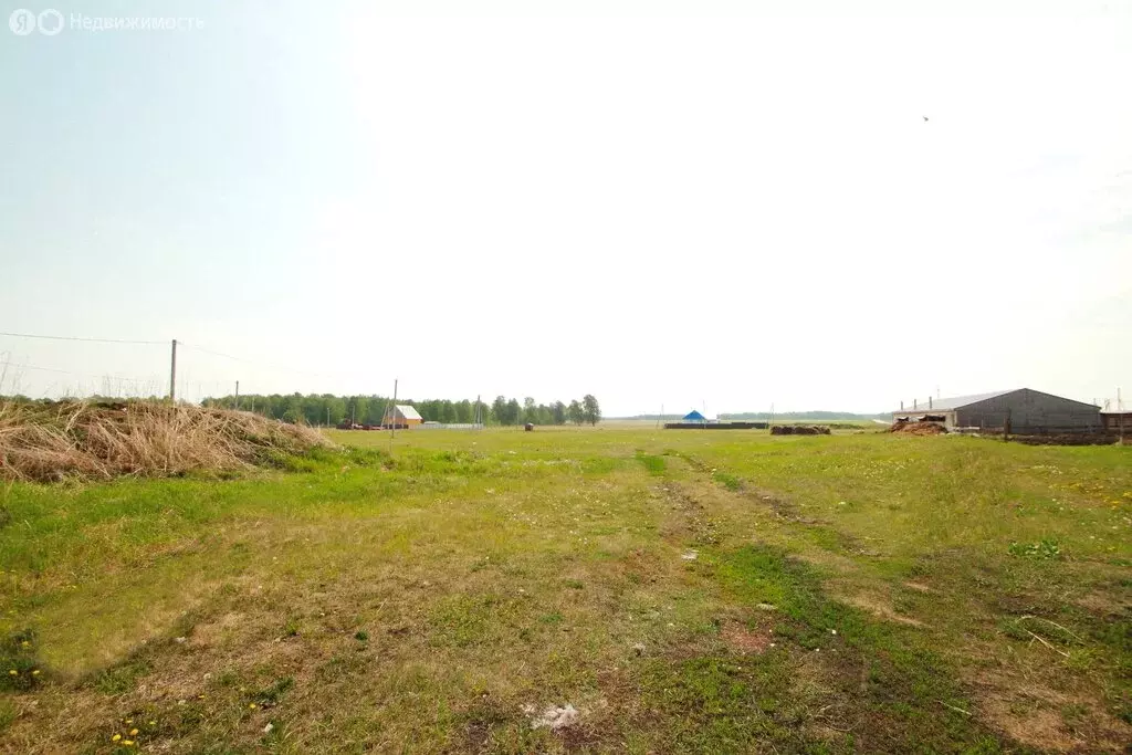 Участок в Зиново, Радужная улица, 5 (14 м) - Фото 0