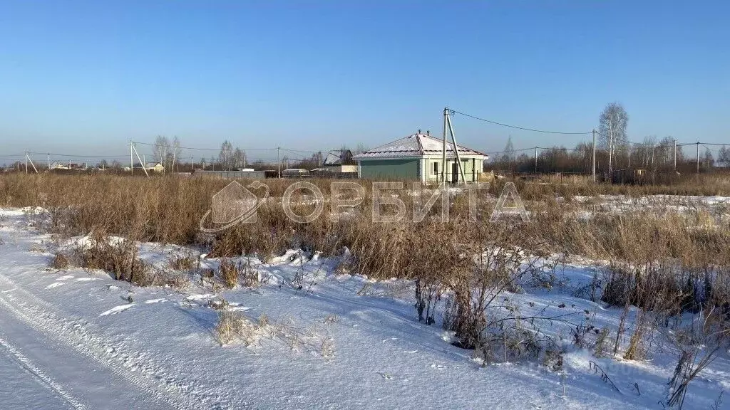 Участок в Тюменская область, Тюмень Россиянка садовое товарищество, ... - Фото 1