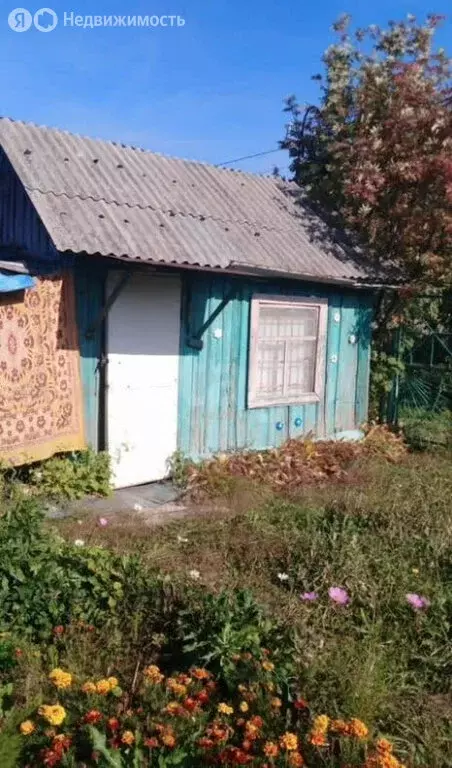 Дом в Курган, СНТ Кедр (10 м) - Фото 1