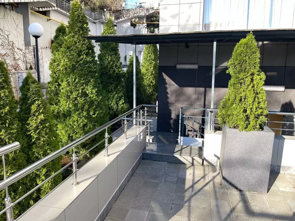 Помещение свободного назначения в Краснодарский край, Сочи Виноградная ... - Фото 2