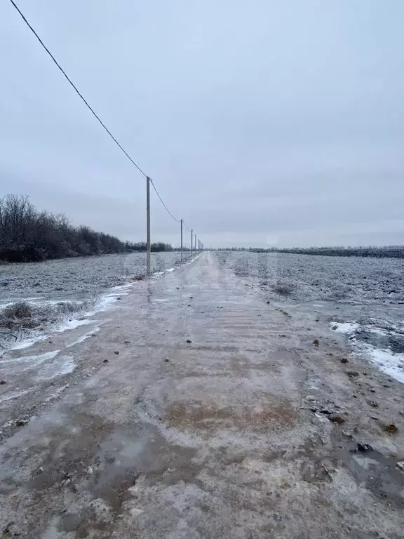Участок в Ростовская область, Мясниковский район, Краснокрымское ... - Фото 1