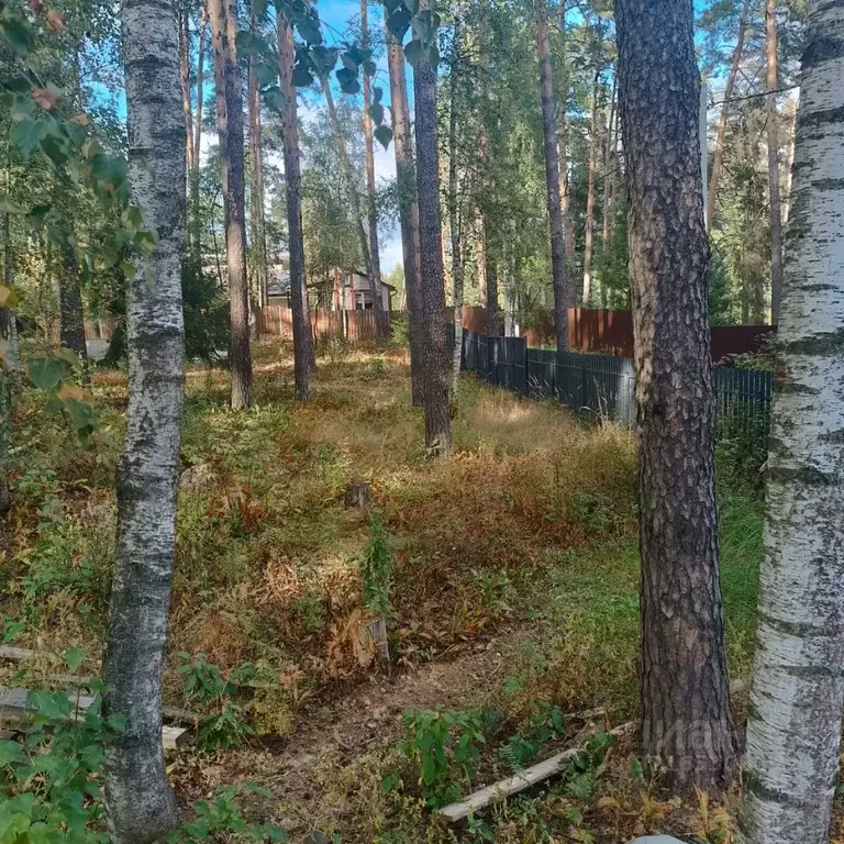 Участок в Московская область, Щелково городской округ, д. Первая ... - Фото 0