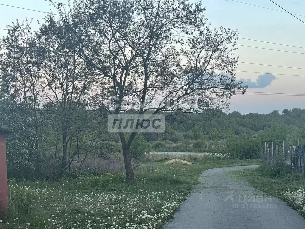 Участок в Липецкая область, Липецкий муниципальный округ, с. Сырское ... - Фото 1
