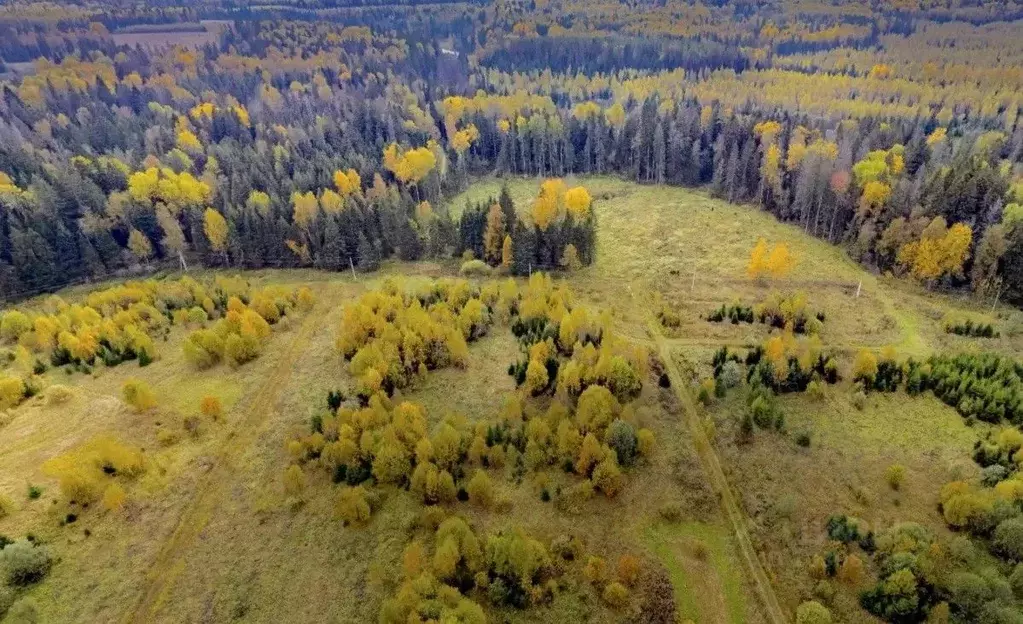 Участок в Московская область, Истра городской округ, д. Гребеньки  ... - Фото 0