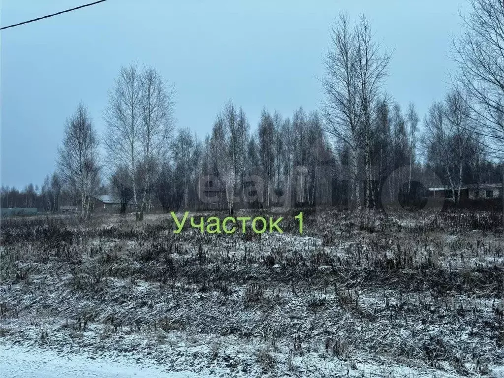 Участок 12,5 сот. (ИЖС) - Фото 0