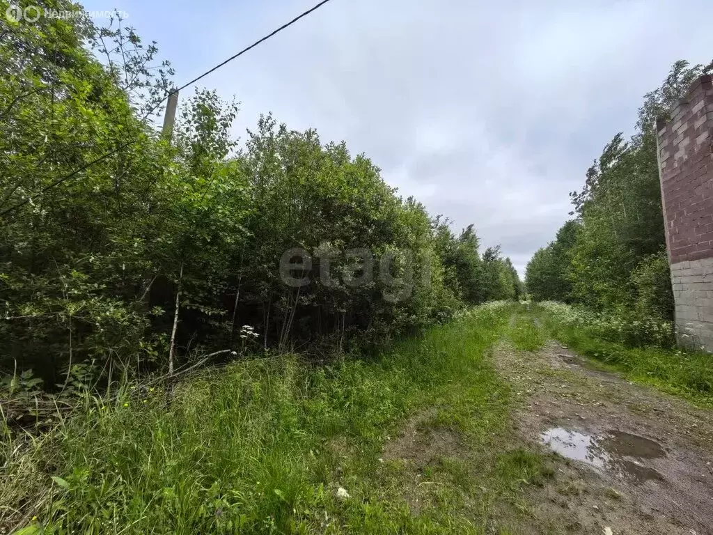 Участок в Вологодская область, Череповецкий муниципальный округ, ... - Фото 1