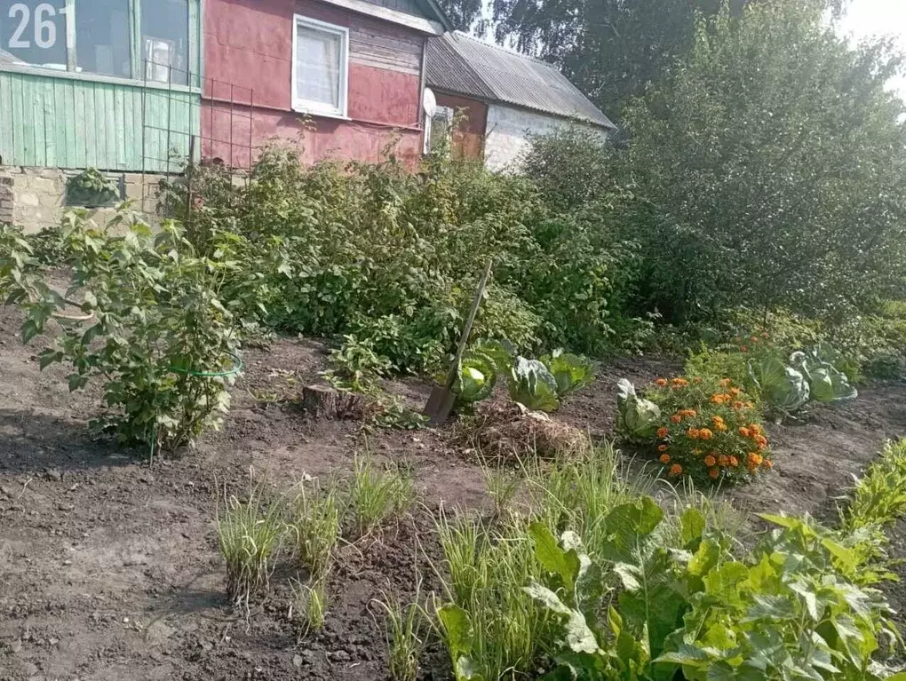 Дом в Орловская область, Малоархангельский район, Октябрьское с/пос, ... - Фото 2