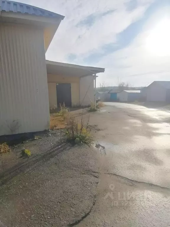 Торговая площадь в Пермский край, Пермский муниципальный округ, с. ... - Фото 2