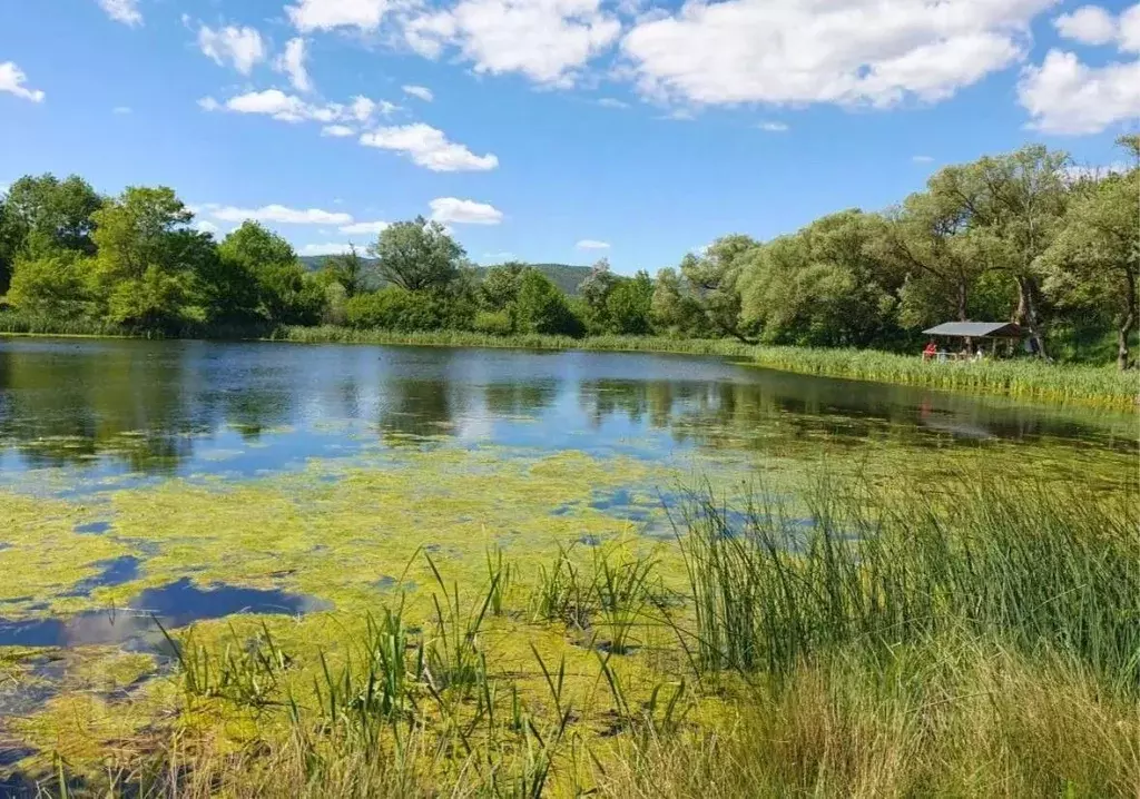 Участок в Севастополь с. Орлиное, ул. Приветливая (4.0 сот.) - Фото 1