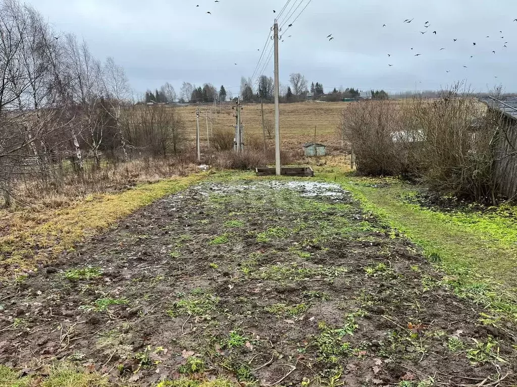 Участок в Вологодская область, д. Высоково  (8.0 сот.) - Фото 1