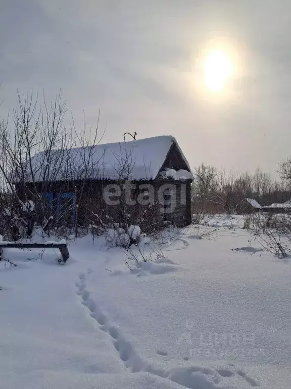 Дом в Алтай, Усть-Коксинский район, пос. Березовка  (28 м) - Фото 0