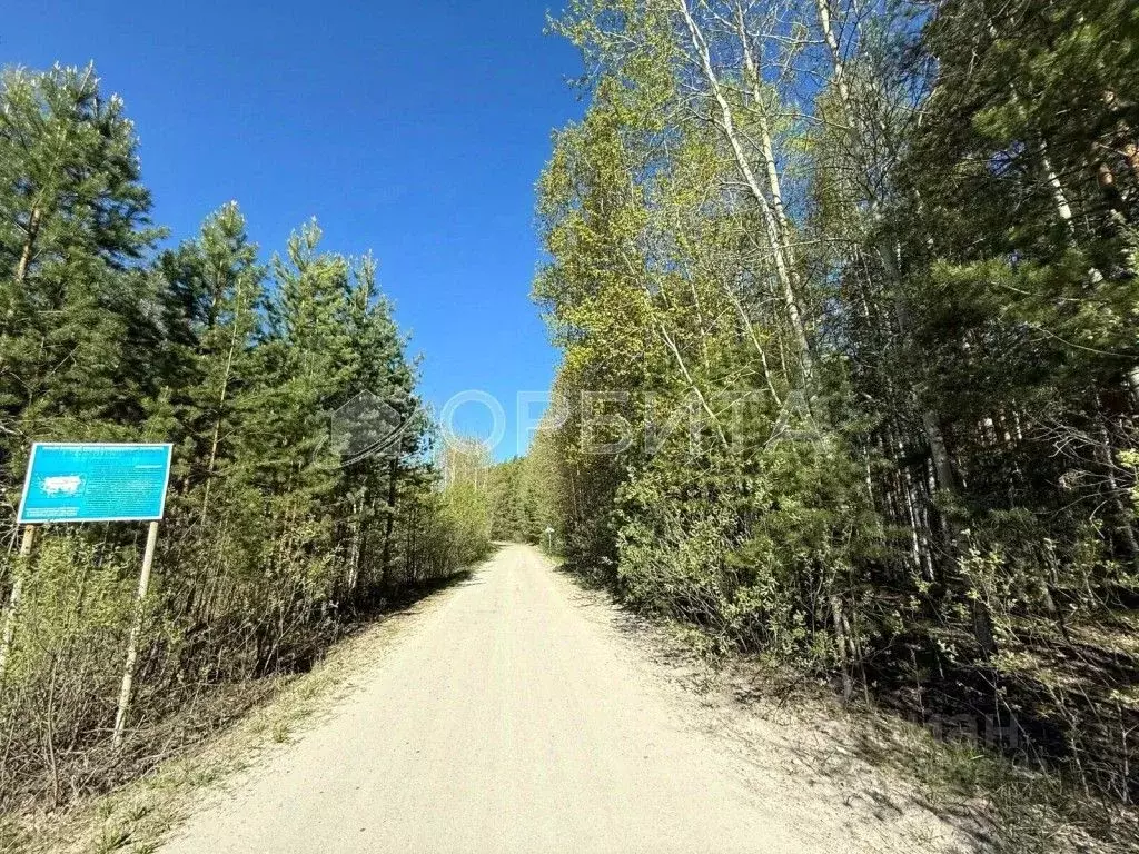 Участок в Тюменская область, Нижнетавдинский район, Березка СНТ ул. ... - Фото 0