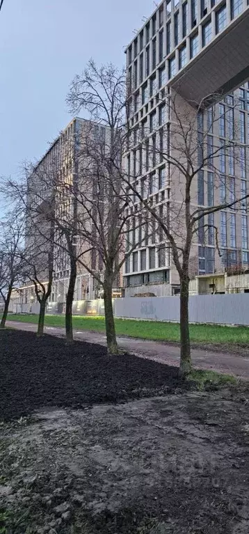 Студия Санкт-Петербург ул. Типанова, 22 (29.0 м) - Фото 1