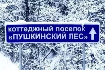 Дом в Омская область, Омский район муниципальный округ, Пушкинский Лес ... - Фото 2