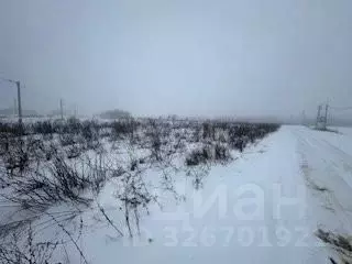 Участок в Белгородская область, Корочанский район, с. Погореловка, ... - Фото 2