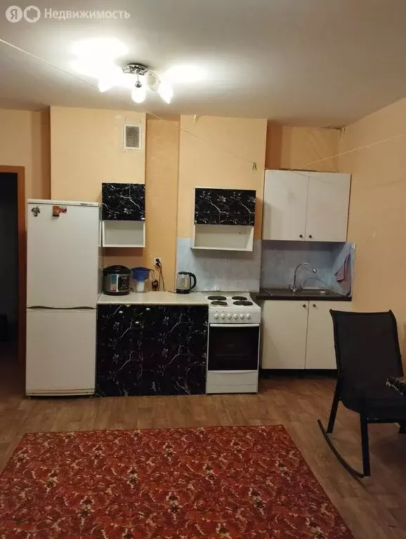 Квартира-студия: Новосибирск, улица Татьяны Снежиной, 41 (324 м) - Фото 1