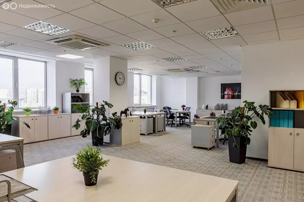 Офис (150 м) - Фото 2