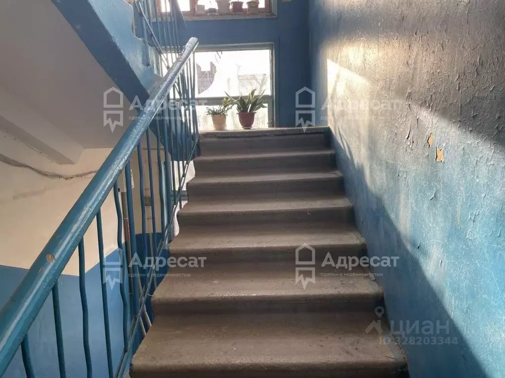 2-к кв. Волгоградская область, Волгоград ул. Козака, 15А (42.0 м) - Фото 1