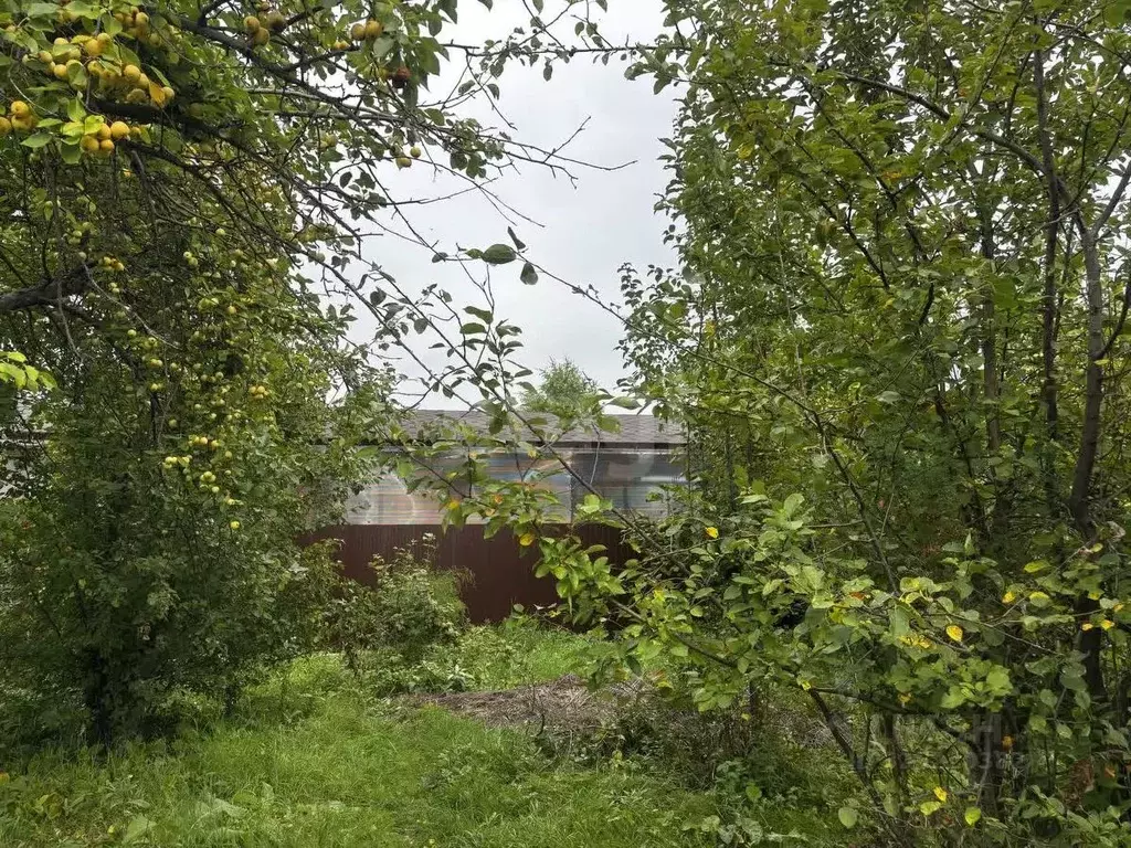 Участок в Тюменская область, Тюмень Строитель-1 СНТ, ул. Дружбы, 99 ... - Фото 1