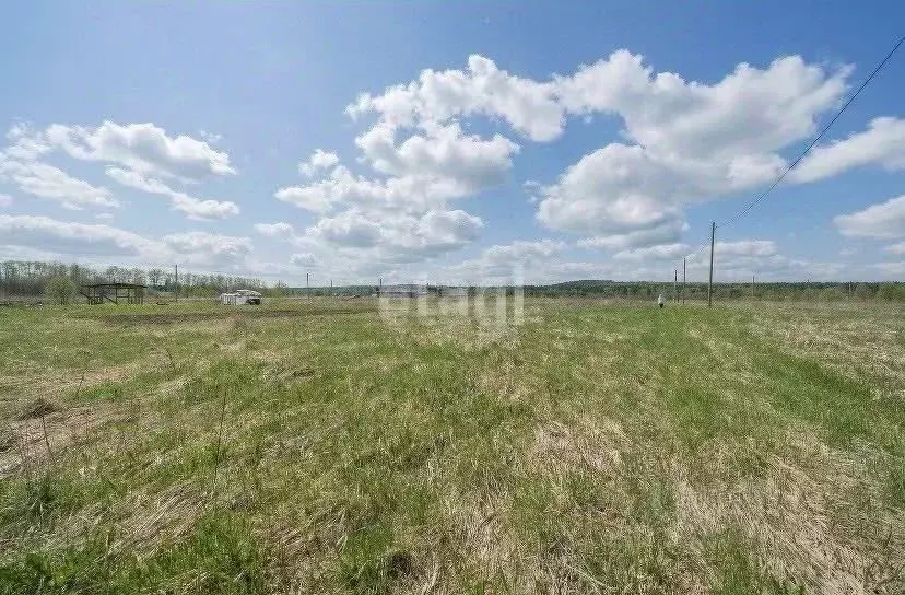 Участок в Пермский край, Пермский муниципальный округ, д. Большакино, ... - Фото 1
