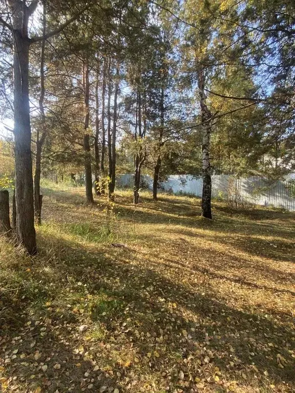 Участок в Свердловская область, Сысертский муниципальный округ, с. ... - Фото 1
