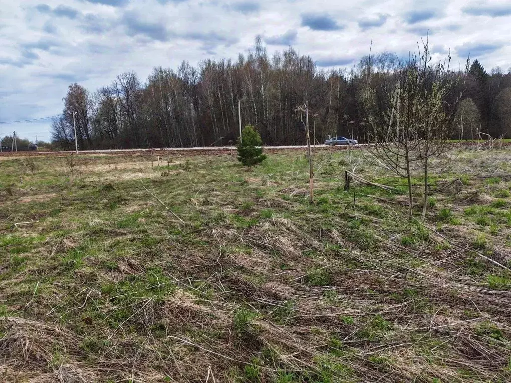 Участок в Калужская область, Калуга городской округ, д. Лихун  (15.0 ... - Фото 2