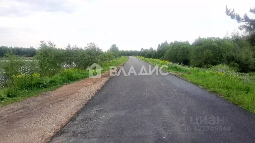 Участок в Нижегородская область, Городецкий муниципальный округ, д. ... - Фото 2