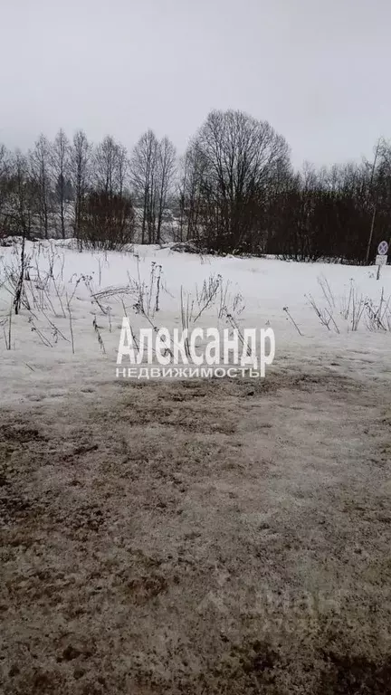 Участок в Ленинградская область, Волховский район, Вындиноостровское ... - Фото 1