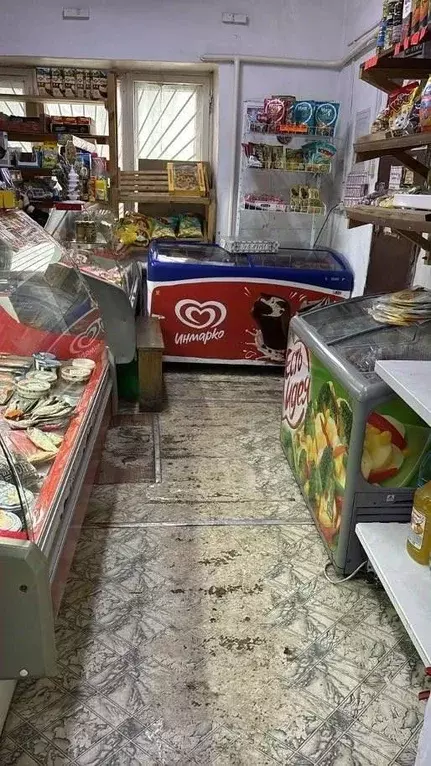 Помещение свободного назначения в Новосибирская область, Кочковский ... - Фото 1