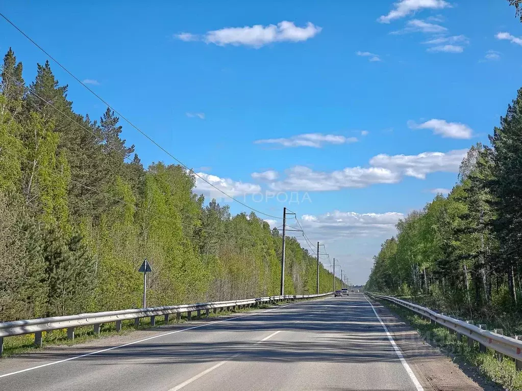 Участок в Новосибирская область, Новосибирский район, с. Кубовая, пос. ... - Фото 0
