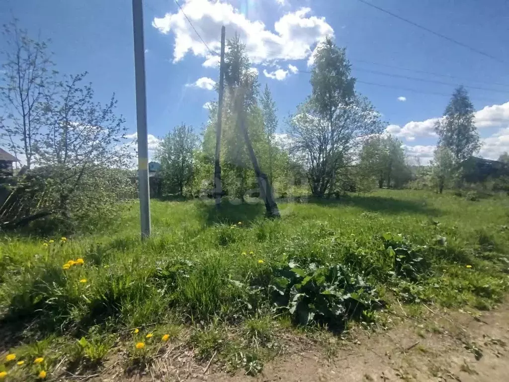 Участок в Костромская область, Шарья городской округ, д. Алешунино ... - Фото 0