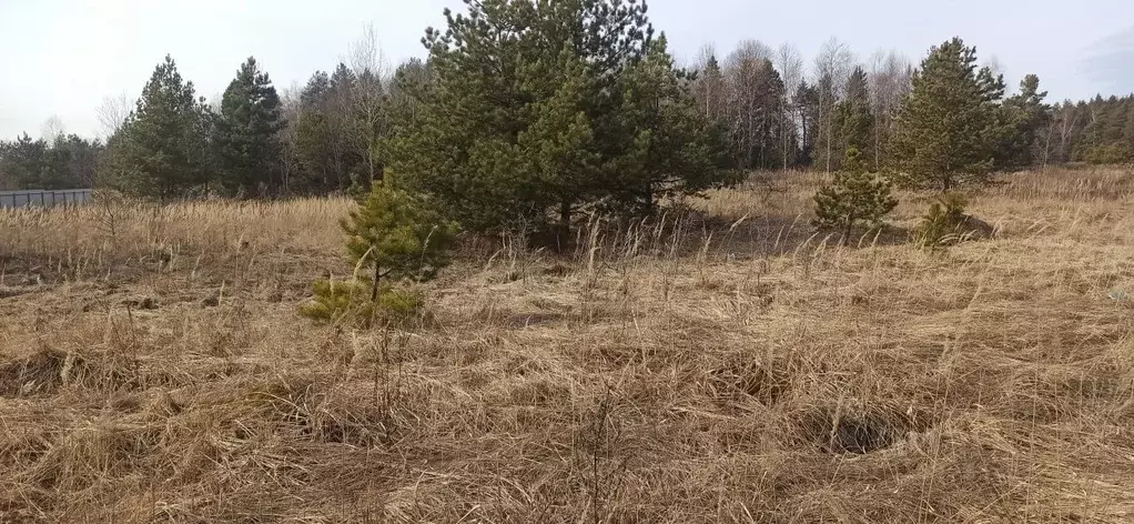 Участок в Московская область, Шатура муниципальный округ, д. ... - Фото 0