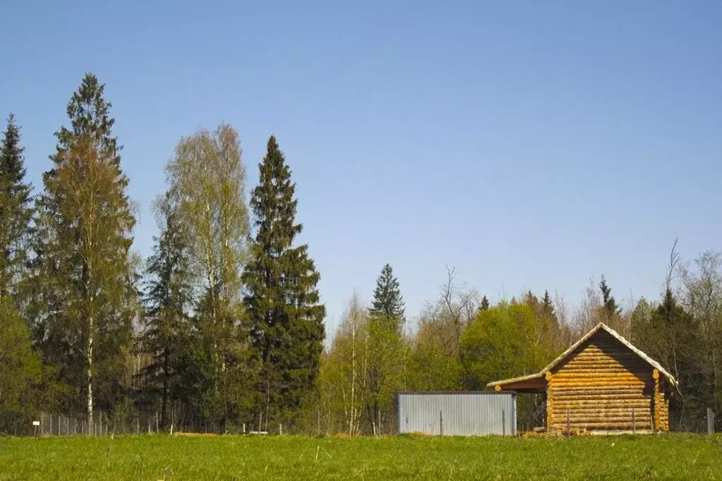 Участок в Московская область, Пушкино Зеленый Городок мкр, проезд ... - Фото 1