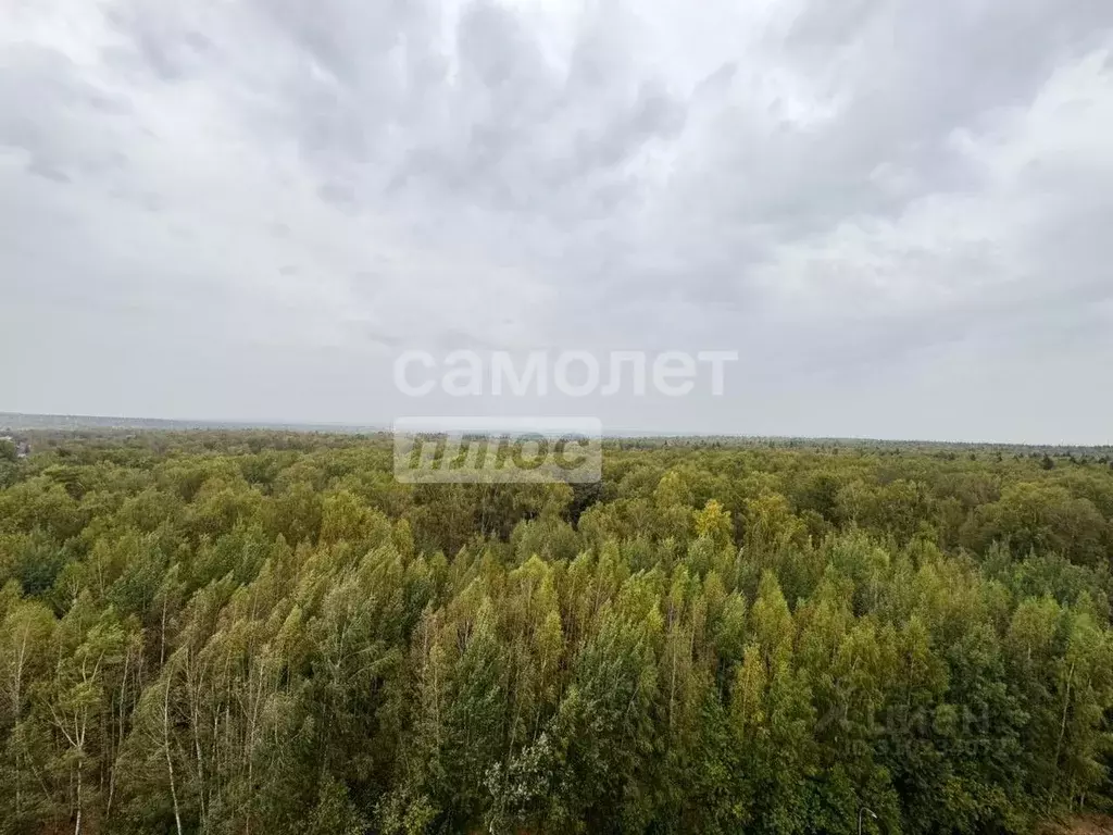 3-к кв. Московская область, Одинцовский городской округ, с. Лайково, ... - Фото 0