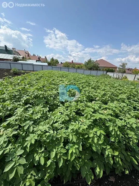 Дом в Октябрьский, улица Гафури (60 м) - Фото 0