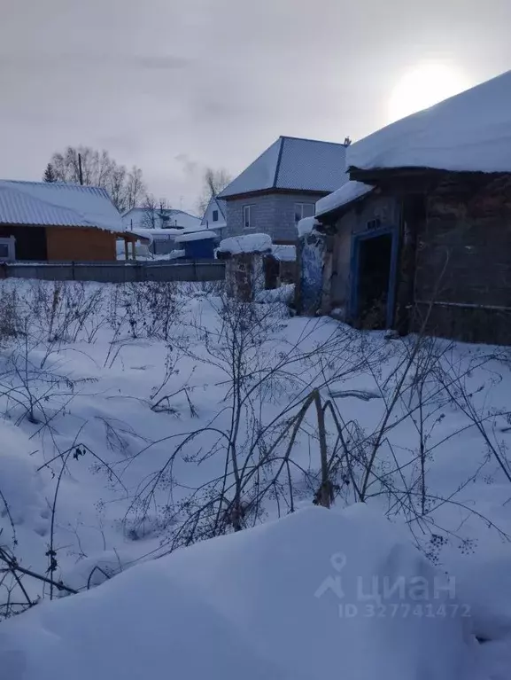 Участок в Новосибирская область, Болотное Алтайская ул., 4 (4.0 сот.) - Фото 2