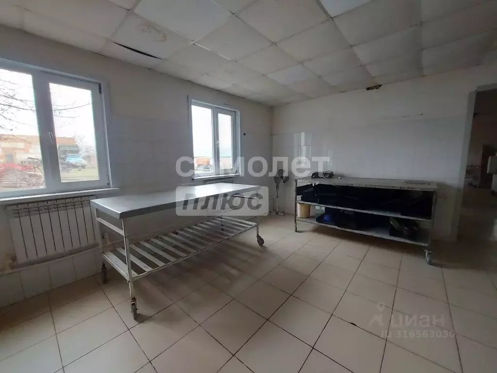 Производственное помещение в Оренбургская область, Илекский район, с. ... - Фото 1