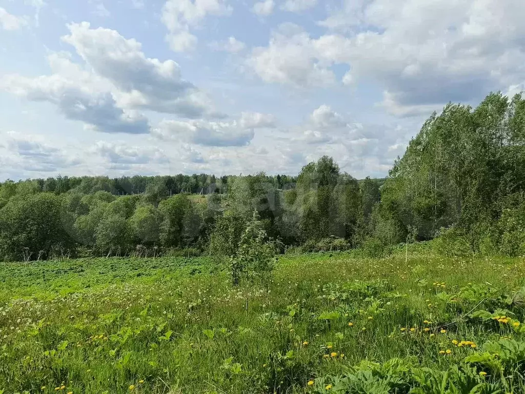 Участок 10 сот. (ИЖС) - Фото 1