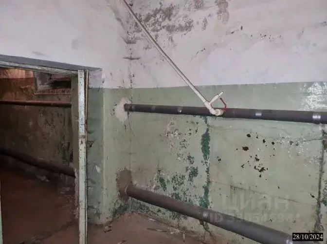 Помещение свободного назначения в Нижегородская область, Нижний ... - Фото 2