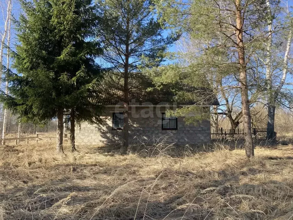 Торговая площадь в Смоленская область, Демидовский муниципальный ... - Фото 0