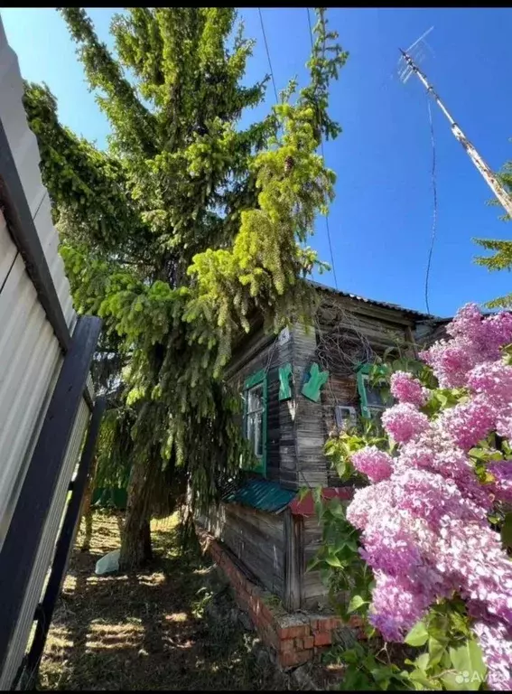 Дом в Саратовская область, Хвалынский район, Алексеевское ... - Фото 1