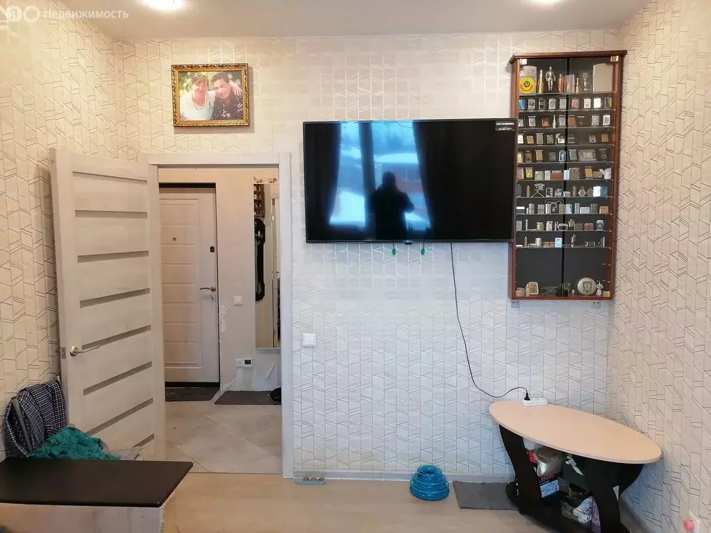 1-комнатная квартира: деревня Бородино, Варшавское шоссе, 78 (32 м) - Фото 1