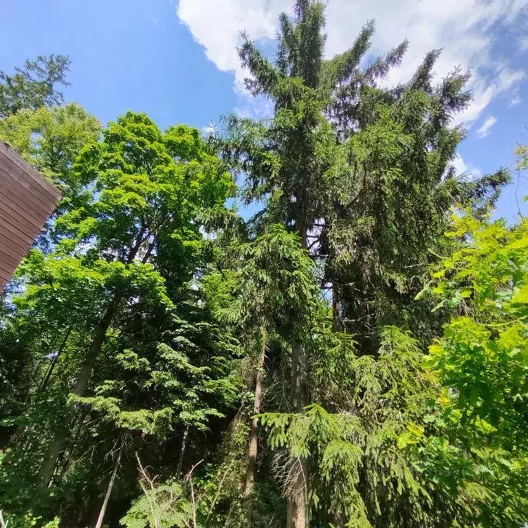 Участок, 4.7 сот., поселения (ижс) - Фото 1