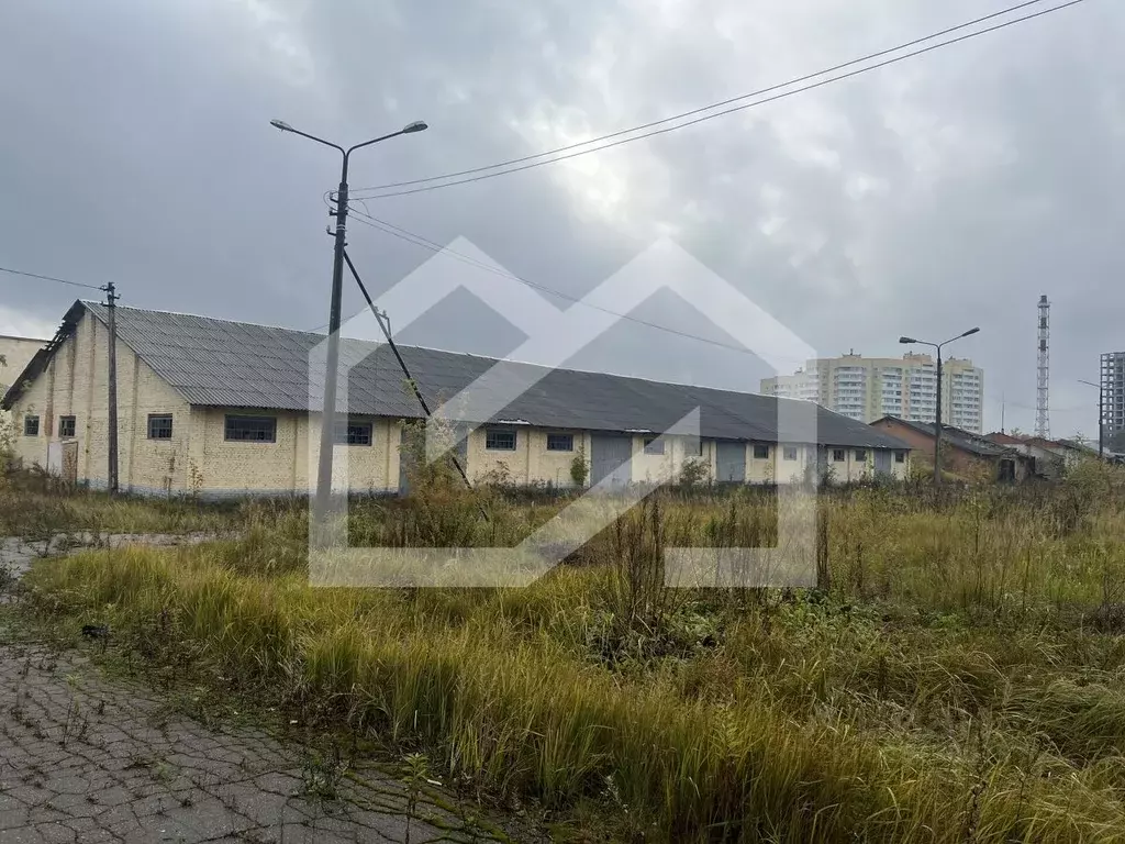 Помещение свободного назначения в Московская область, Звенигород ... - Фото 1