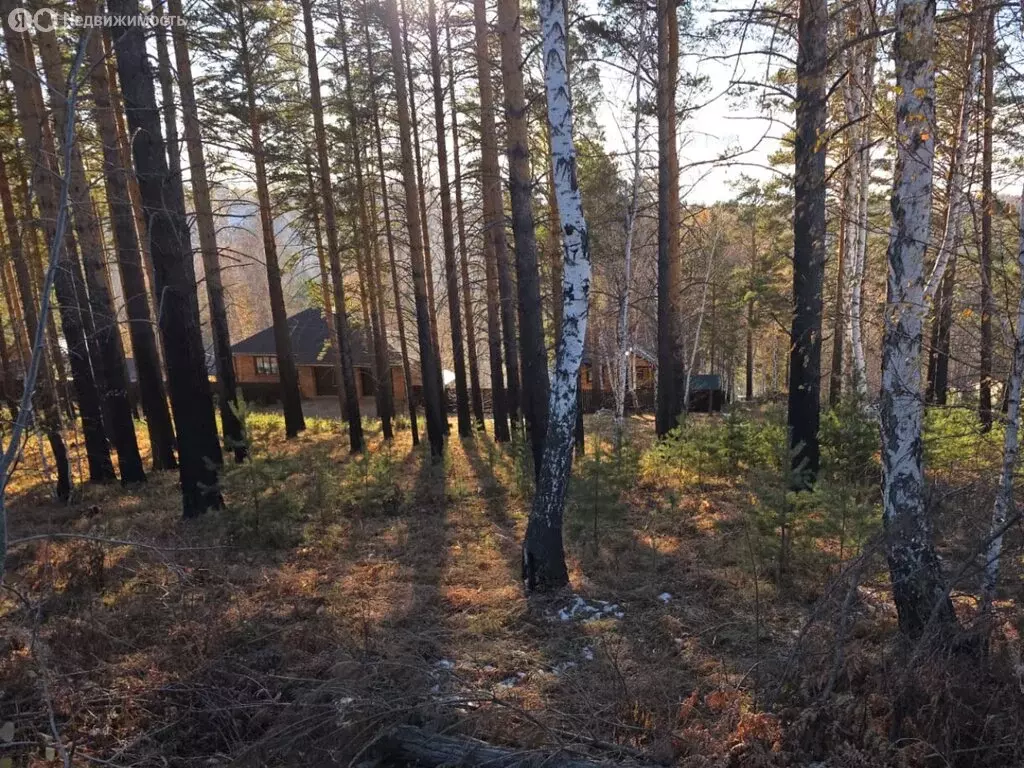 Участок в Маркова, посёлок Николов Посад, Петровская улица, 60 (15 м) - Фото 2