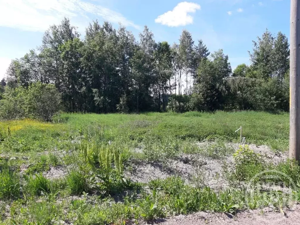 Участок в Ленинградская область, Приозерский район, Мельниковское ... - Фото 2