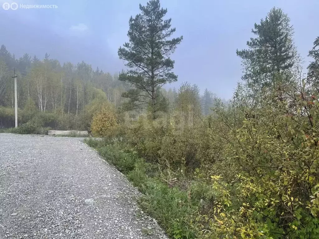 Участок в Манжерокское сельское поселение, село Озёрное (10 м) - Фото 1